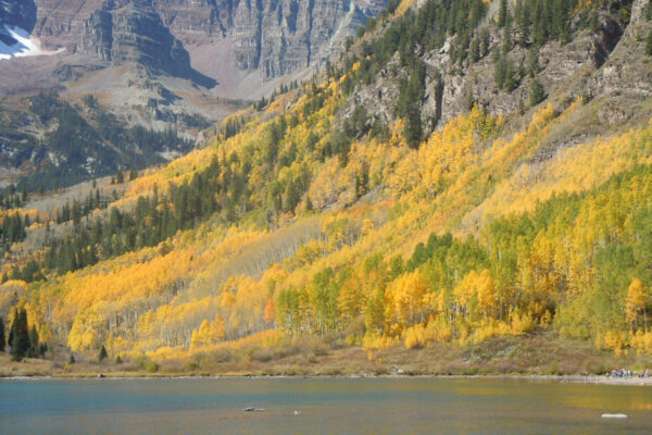 Snowmass Colorado Maroon Bells quaking Aspens fall Color Vail