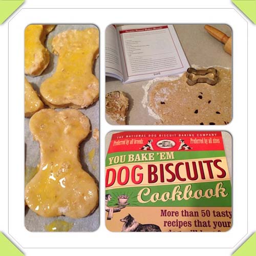 applesauce peanut butter dog biscuits