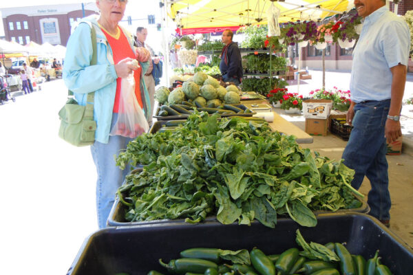 farmers market palazzi farms parker co